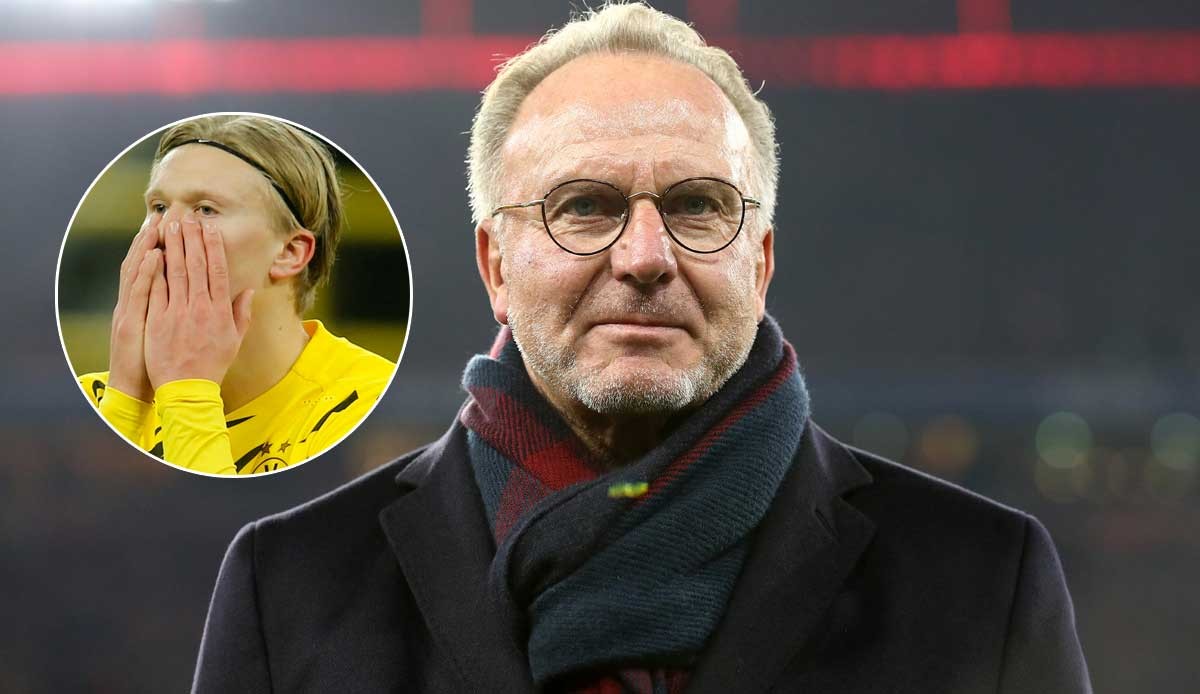 菲利佩：赛前看了帕尔梅拉斯主帅的著作和采访，以把握他思路（菲利佩：赛前研读帕尔梅拉斯主帅著作与采访，力求洞悉其思路）